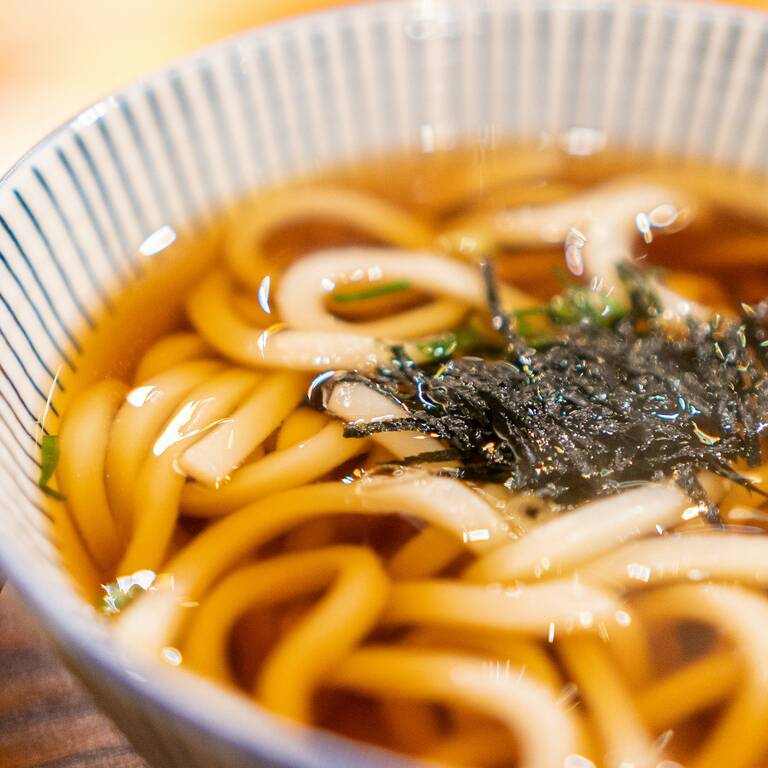 Udon noodle soup